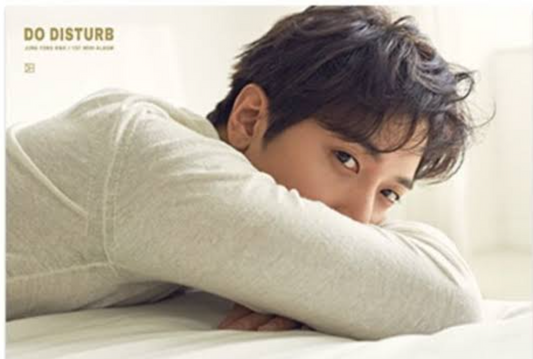 Jung Yong Hwa Do Not Disturb poster